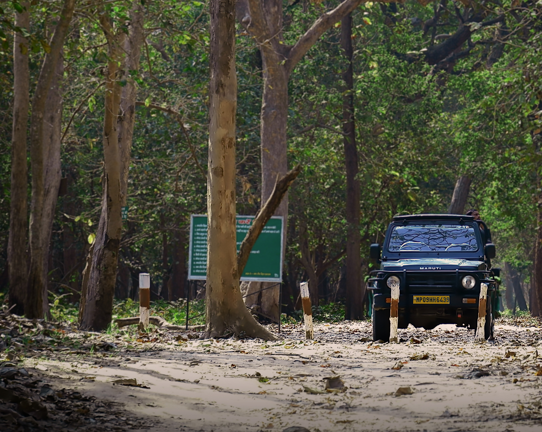1 Night / 2 Days Kanha Tour ( 1 Gypsy Safari )