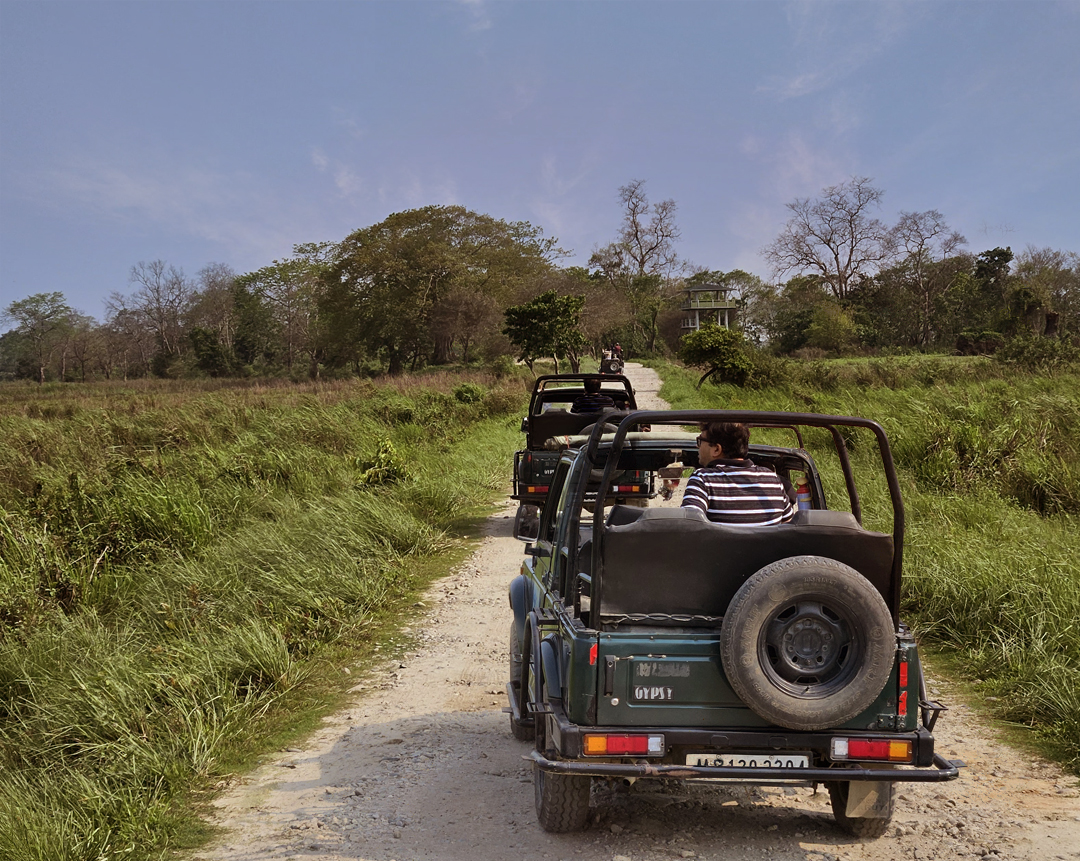 2 Nights / 3 Days Kanha Tour ( 2 Gypsy Safaris )