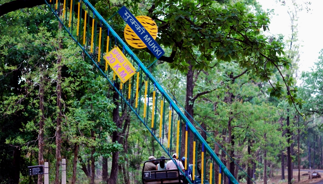 Kanha Zone