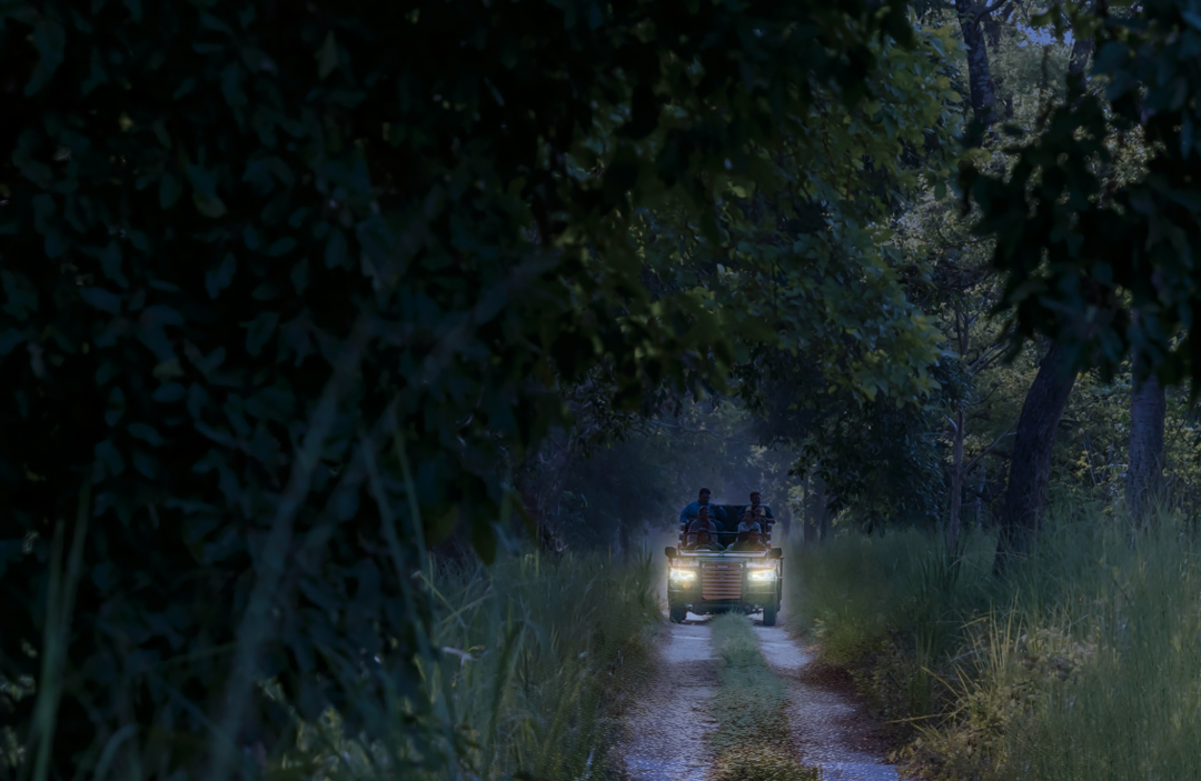 Kanha Zone