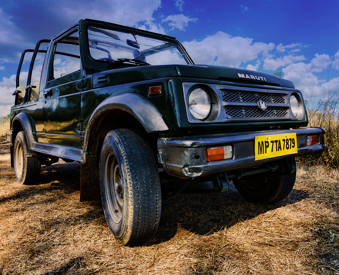 Bandhavgarh Jungle Safari