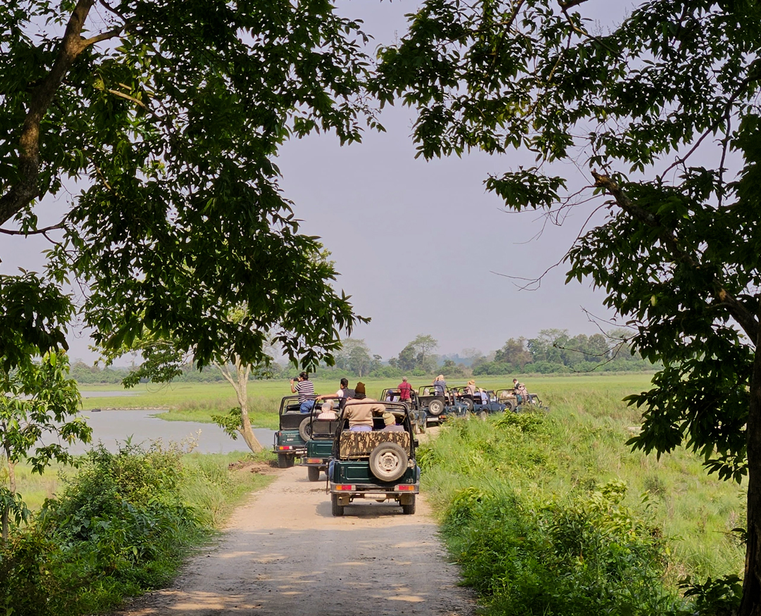 Bandhavgarh 2 Night 3 Days Tour Package