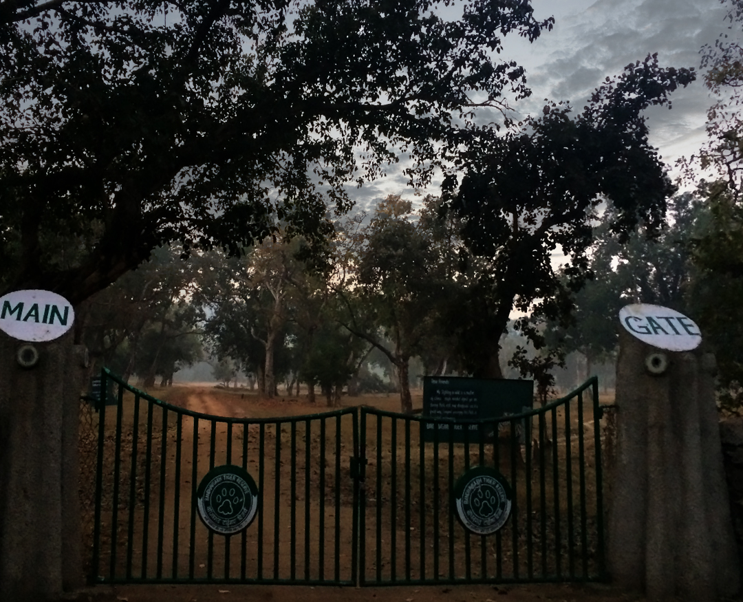 Bandhavgarh 3 Night 4 Days Tour Package