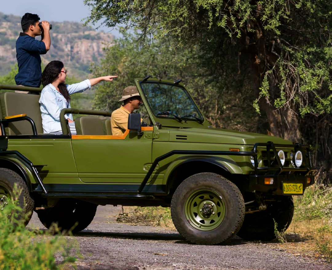 Panna Jungle Safari
