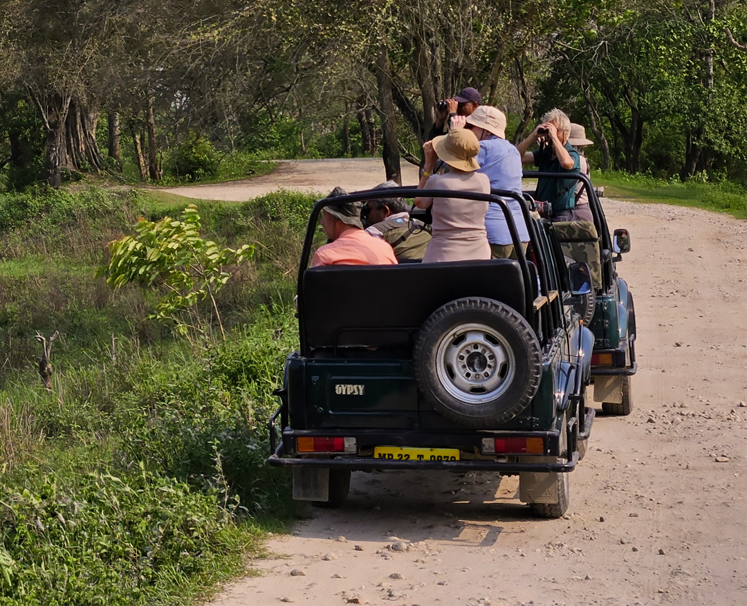 pench Jungle Safari