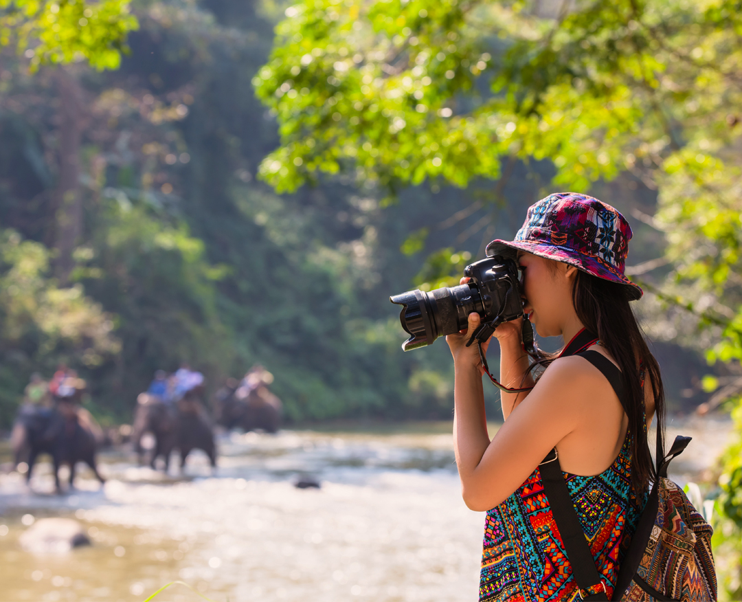 pench Sightseeing